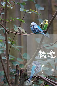 貸款逾期信用不良影響(銀行信用貸款逾期會產(chǎn)生什么后果)