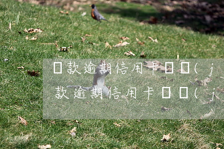 貸款逾期信用卡凍結(jié)能解凍嗎(貸款逾期信用卡凍結(jié)能解凍嗎)