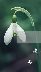 貸款逾期 信用卡凍結(因信用卡逾期凍結銀行卡)