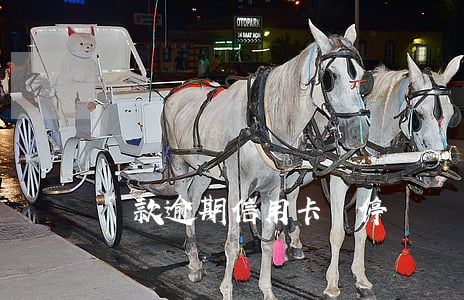 貸款逾期信用卡會停嗎