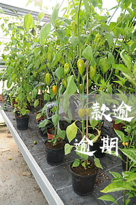 貸款逾期信用卡會凍結(jié)嗎(信用卡逾期會凍結(jié)銀行卡嗎)