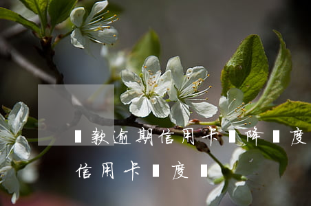 貸款逾期信用卡會降額度嗎(銀行會突然降低信用卡額度嗎)