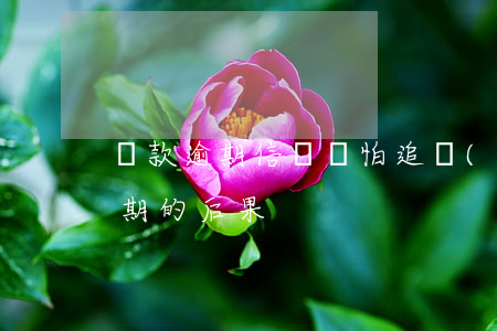 貸款逾期信貸員怕追責(zé)(信用貸款逾期的后果)
