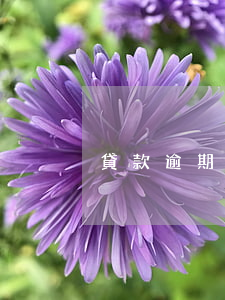貸款逾期偶爾還一點(逾期但是一直還款)