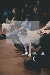 貸款逾期催債犯法嗎