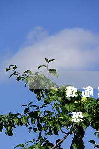 貸款逾期催找了派出所(貸款逾期催收部打電話恐嚇怎么處理)