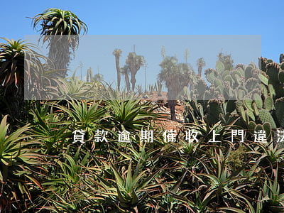 貸款逾期催收上門違法嗎