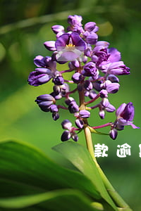 貸款逾期催收不讓還了