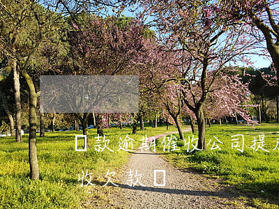 貸款逾期催收公司提成(貸款公司可以上門催收欠款嗎)