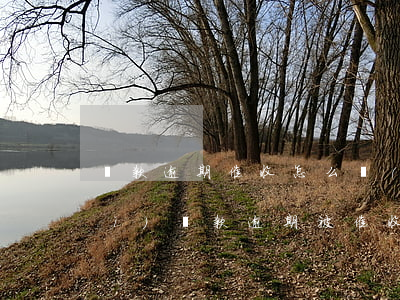 貸款逾期催收怎么應(yīng)對(duì)(貸款逾期被催收怎么應(yīng)對(duì))