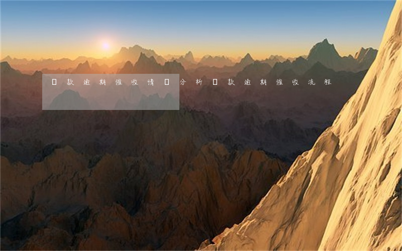 貸款逾期催收情況分析(貸款逾期催收流程)