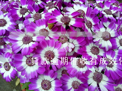 貸款逾期催收有成效(催收逾期貸款的方法)