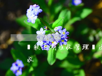 貸款逾期催收管理辦法(貸款逾期如何面對催收)