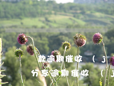 貸款逾期催收經(jīng)驗(yàn)分享(逾期催收經(jīng)驗(yàn)介紹)
