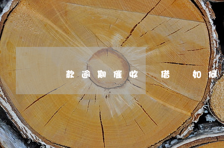 貸款逾期催收說借錢(如何催還借款)