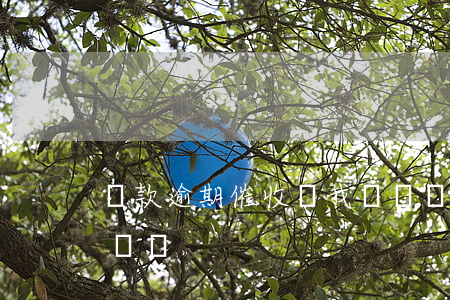 貸款逾期催收說我詐騙(貸款逾期被催收怎么應對)