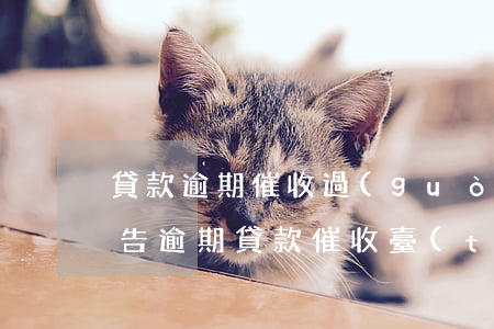 貸款逾期催收過(guò)程報(bào)告(逾期貸款催收臺(tái)賬)