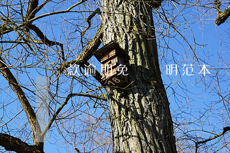 貸款逾期免責聲明范本(貸款逾期出具法律意見書)