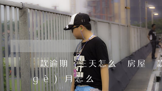 貸款逾期兩三天怎么辦(房屋貸款逾期三個(gè)月怎么辦)
