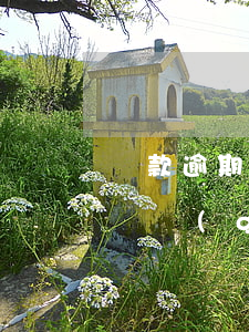 貸款逾期兩個(gè)月會(huì)怎樣(兩個(gè)月處于逾期嚴(yán)重嗎)