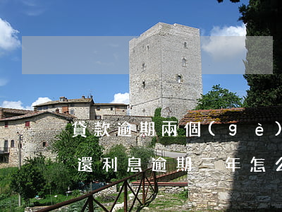 貸款逾期兩個(gè)月還本金(貸款本金已還,利息逾期三年,怎么辦)
