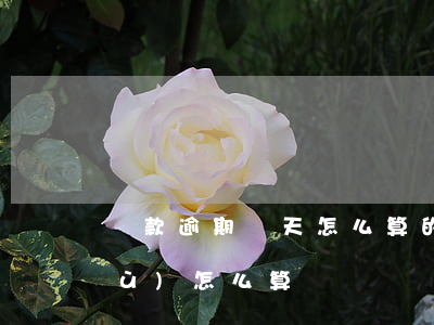貸款逾期兩天怎么算的(逾期貸款天數(shù)怎么算)
