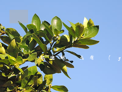貸款逾期兩天有關(guān)系嗎
