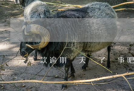 貸款逾期兩天還了沒事吧(貸款逾期2天有影響嗎)