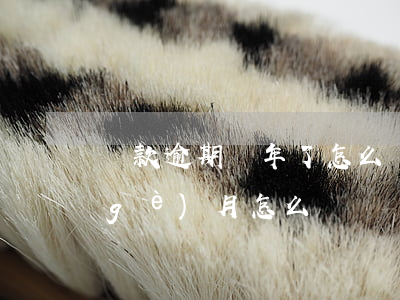 貸款逾期兩年了怎么辦(銀行貸款逾期兩個(gè)月怎么辦)
