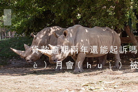 貸款逾期兩年還能起訴嗎(貸款逾期兩個(gè)月會(huì)被起訴嗎)