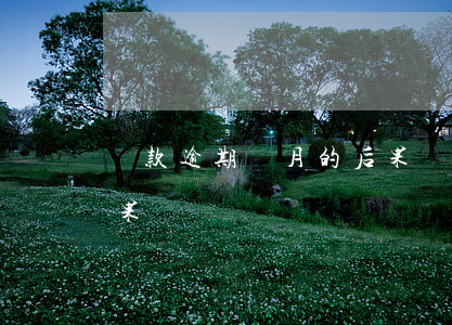 貸款逾期兩月的后果(貸款逾期一個星期的后果)