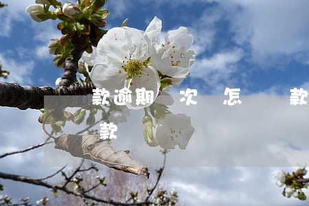 貸款逾期兩次會怎樣(貸款逾期兩次影響信用貸款嗎)
