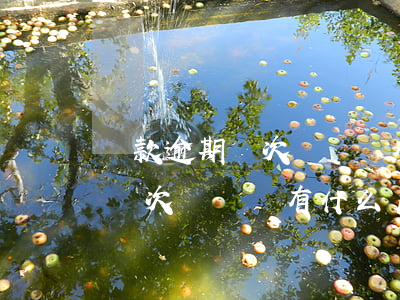 貸款逾期兩次沒還會有什么后果-貸款逾期兩次沒還會有什么后果嗎