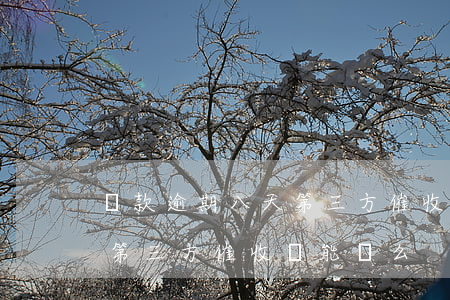 貸款逾期八天第三方催收(銀行貸款逾期委托第三方催收還能談么)