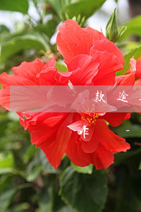 貸款逾期六天已經(jīng)要上征信了咋辦-貸款逾期六天已經(jīng)要上征信了咋辦呢
