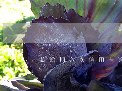 貸款逾期六次（信用卡逾期6次貸款利率）