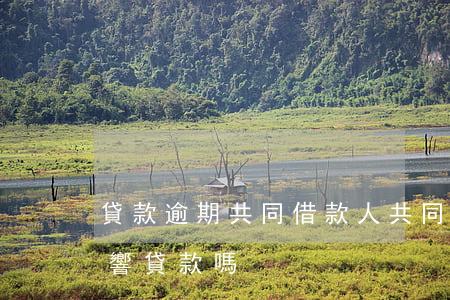 貸款逾期共同借款人(共同還款人有逾期會影響貸款嗎)