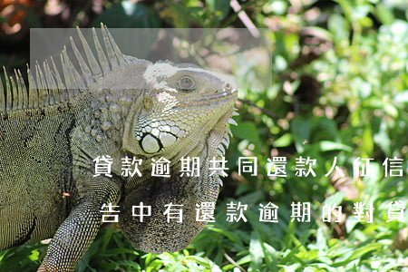 貸款逾期共同還款人征信(征信報(bào)告中有還款逾期的對貸款有什么影響)