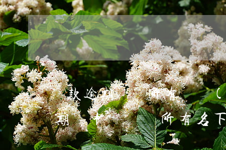 貸款逾期凍結所有財產(chǎn)(及貸逾期會申請凍結所有名下賬戶財產(chǎn)嗎)