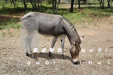 貸款逾期出國(guó)嗎(貸款逾期出國(guó)嗎會(huì)怎么樣)