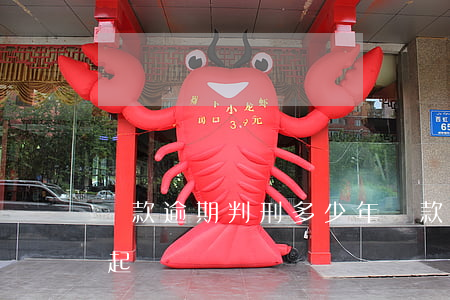 貸款逾期判刑多少年(貸款逾期多長時間會被起訴)