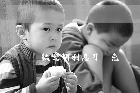 貸款逾期利息可減免嗎(貸款逾期利息可減免嗎)