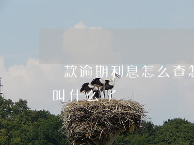貸款逾期利息怎么查(怎么查逾期的貸款,忘了叫什么了)