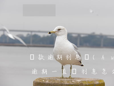貸款逾期利息會(huì)一直漲嗎（信用卡逾期一直漲利息怎么辦）
