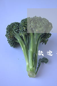 貸款逾期利息的算法(逾期利率計算)