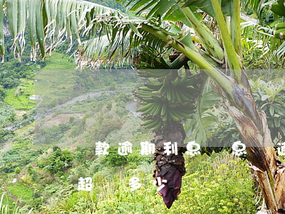 貸款逾期利息罰息嗎(逾期后罰息和利息不得超過多少)