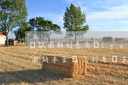 貸款逾期利息高過(guò)本金(銀行貸款逾期本金還完利息還在增加嗎)
