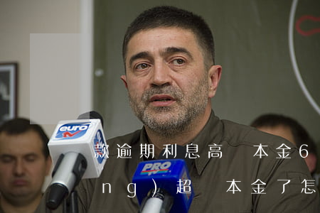 貸款逾期利息高過本金6(借款利息已經(jīng)超過本金了怎么辦)