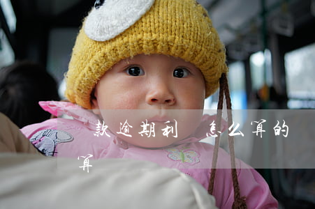 貸款逾期利潤怎么算的(貸款逾期了利息怎么算)