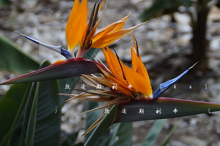 貸款逾期利率會(huì)上調(diào)嗎(貸款逾期利率會(huì)上調(diào)嗎)